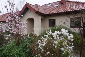 Domy SUXA608 Wyględy