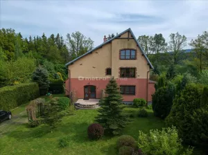 Dom wolnostojący 380,00 m², Stary Wielisław, Sprzedaż