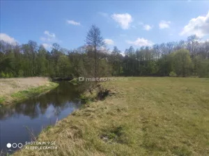 Działka 92 400,00 m², Baboszewo, Sprzedaż