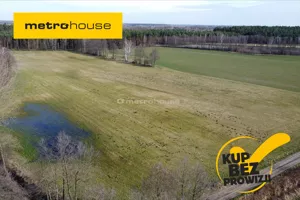 Działka 60 889,00 m², Besiekierz Nawojowy, Sprzedaż