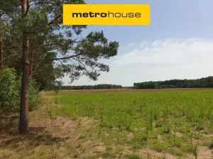 Działka 15 000,00 m², Blinno, Sprzedaż