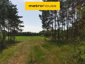 Działka 21 600,00 m², Blinno, Sprzedaż