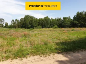 Działka 7 500,00 m², Blinno, Sprzedaż