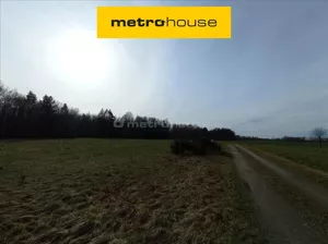 Działka 10 000,00 m², Bolesławice, Sprzedaż