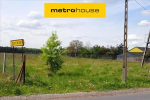 Działka 16 900,00 m², Bolimów, Sprzedaż