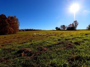 Działka 1 183,00 m², Borek Stary, Sprzedaż