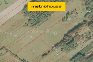 Działka 10 000,00 m², Borowiny, Sprzedaż