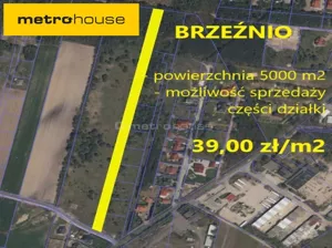 Działka 5 000,00 m², Brzeźnio, Sprzedaż