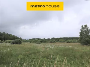 Działka 225 800,00 m², Buczek, Sprzedaż