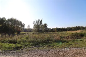 Działka 2 452,00 m², Budy Głogowskie, Sprzedaż