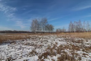 Działka 48 021,00 m², Budy Głogowskie, Sprzedaż