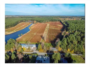 Działka 189 500,00 m², Budy Głogowskie, Sprzedaż