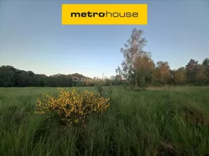 Działka 6 700,00 m², Chełstówek, Sprzedaż