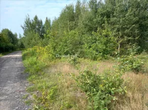 Działka 2 500,00 m², Chobot, Sprzedaż