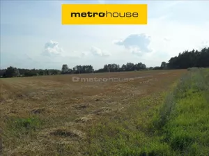 Działka 6 152,00 m², Chodzież, Sprzedaż
