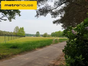 Działka 1 463,00 m², Choinek, Sprzedaż