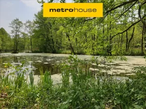 Działka 1 237,00 m², Choinek, Sprzedaż