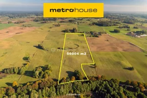 Działka 58 868,00 m², Choszczewo, Sprzedaż