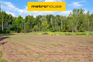 Działka 2 408,00 m², Cisie-Zagrudzie, Sprzedaż