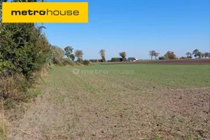 Działka 3 226,00 m², Czarne Błoto, Sprzedaż