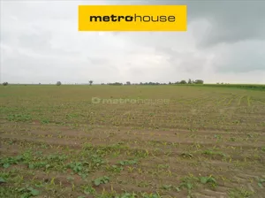 Działka 25 565,00 m², Czarne Piątkowo, Sprzedaż