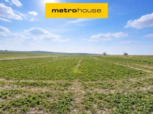 Działka 110 000,00 m², Czerniejów, Sprzedaż