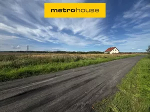 Działka 6 100,00 m², Czernin, Sprzedaż