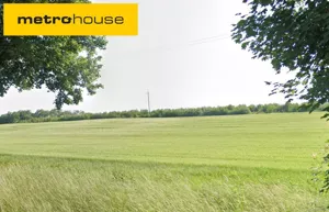 Działka 6 690,00 m², Czerwonak, Sprzedaż