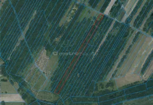 Działka 5 000,00 m², Czułów, Sprzedaż