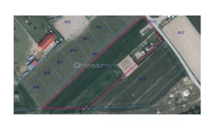 Działka 6 732,00 m², Dąbrowa, Sprzedaż