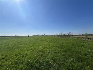 Działka 6 800,00 m², Dąbrówka, Sprzedaż
