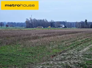 Działka 40 000,00 m², Dalików, Sprzedaż