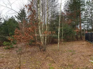 Działka 1 073,00 m², Długa Szlachecka, Sprzedaż