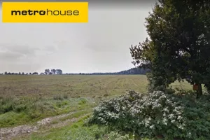 Działka 788 000,00 m², Dłutów, Sprzedaż