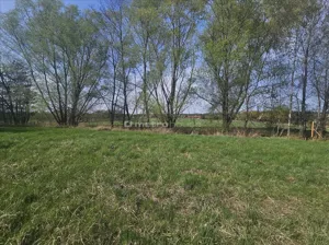 Działka 1 444,00 m², Dobiesz, Sprzedaż
