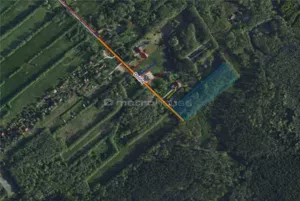 Działka 12 469,00 m², Rydzyny, Dolna, Sprzedaż