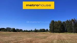 Działka 10 000,00 m², Domaradz, Sprzedaż