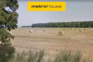 Działka 59 500,00 m², Dopiewo, Sprzedaż