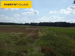 Działka 60 500,00 m², Drochowo, Sprzedaż