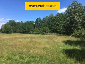 Działka 49 120,00 m², Glinojeck, Sprzedaż