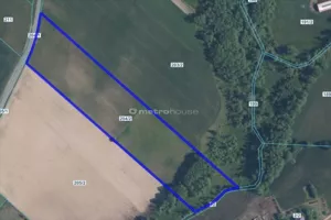 Działka 26 600,00 m², Głodowo Wielkie, Sprzedaż