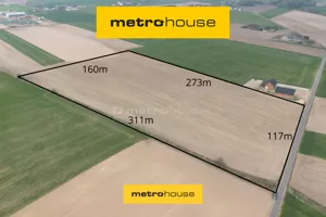 Działka 40 000,00 m², Grabów-Wójtostwo, Sprzedaż