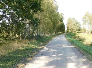 Działka 1 642,00 m², Grabowiec, Sprzedaż