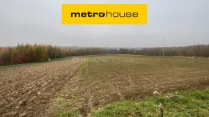 Działka 6 928,00 m², Woźniki, Grudki, Sprzedaż
