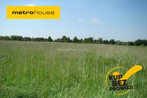 Działka 15 570,00 m², Holendry Baranowskie, Sprzedaż