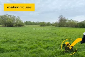 Działka 8 900,00 m², Jackowo Dworskie, Sprzedaż