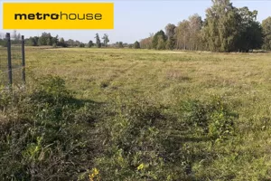 Działka 803,00 m², Jagodnia, Sprzedaż