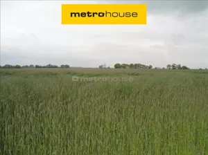 Działka 81 866,00 m², Jankowice, Sprzedaż