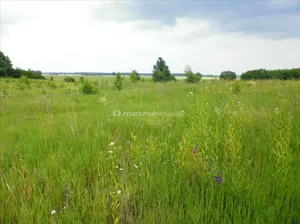 Działka 5 000,00 m², Jankowo, Sprzedaż