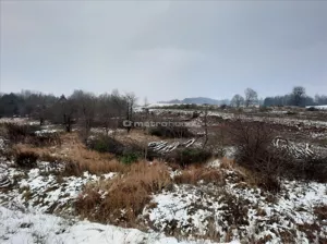 Działka 16 787,00 m², Jemiołowo, Sprzedaż